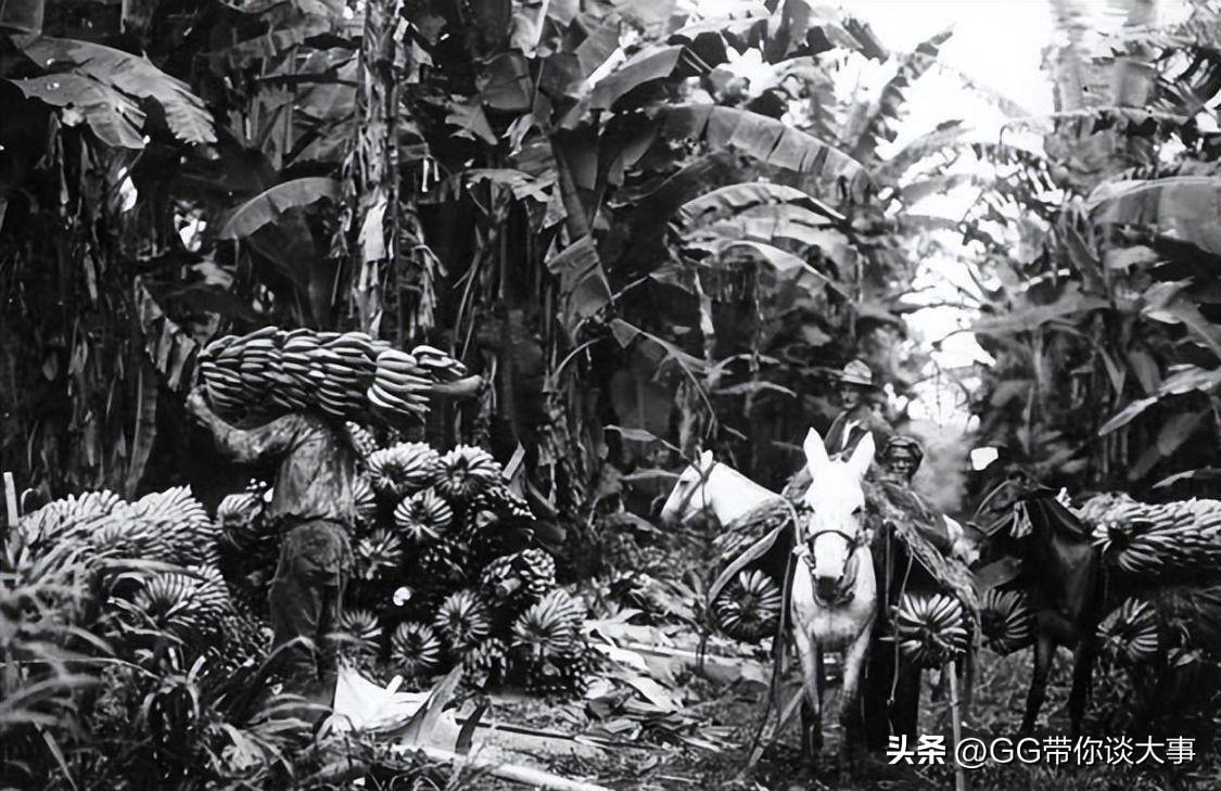 洪都拉斯，足球场上的激情与荣耀——揭秘其世界杯之旅