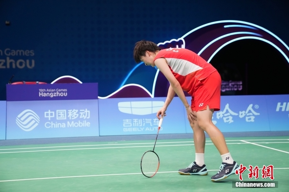 羽毛球总决赛，中国选手的荣耀与挑战