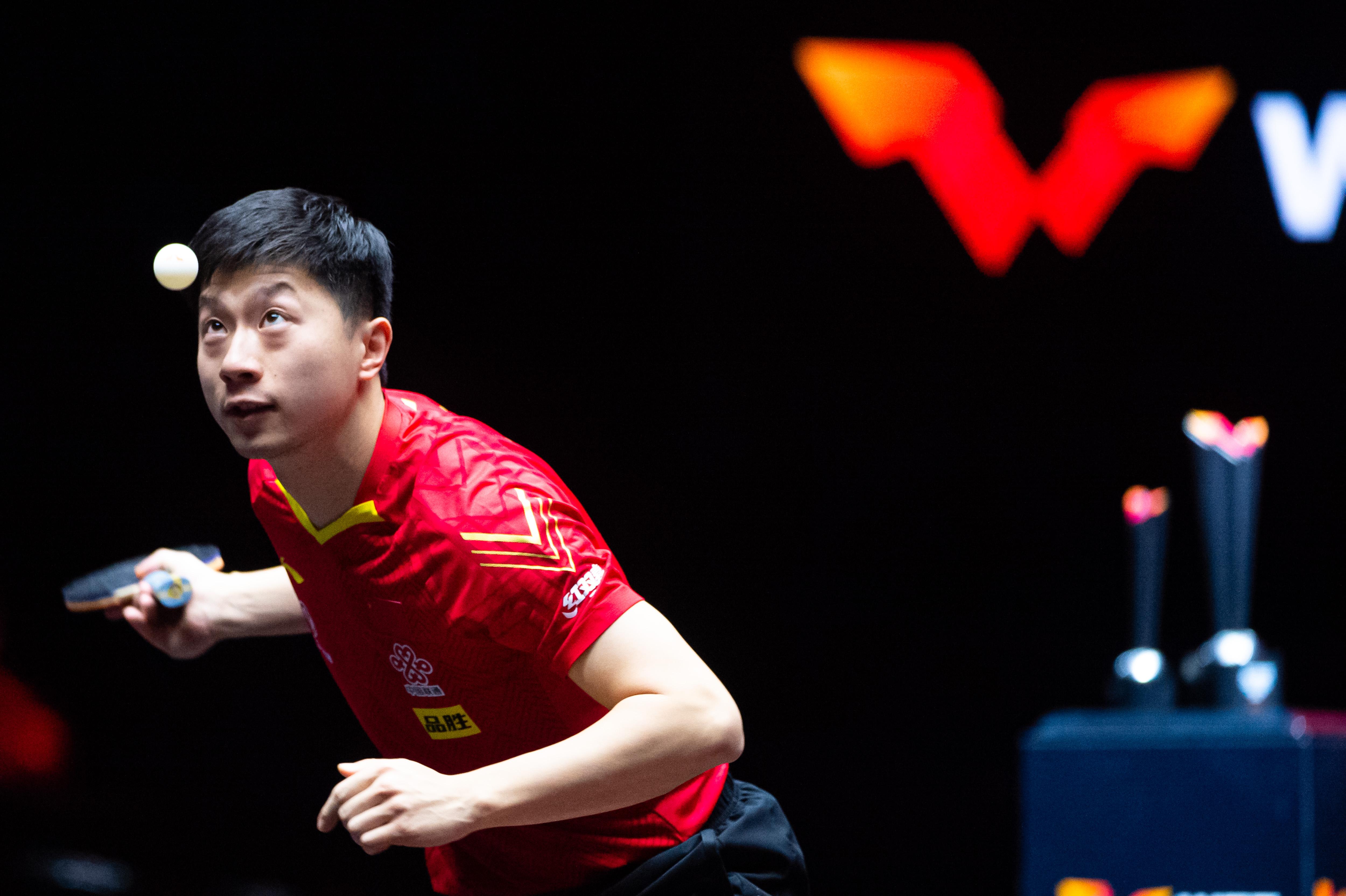 探索WTT世界杯，四年一度的乒乓球盛宴