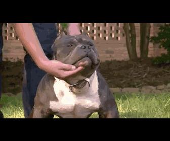 NBA最后一轮，激情与梦想的终极对决