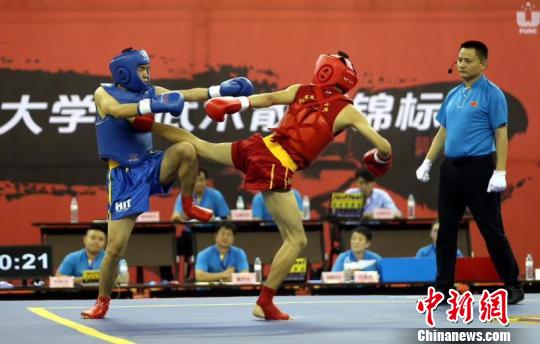 中国武术散打冠军，传承与超越的辉煌之路