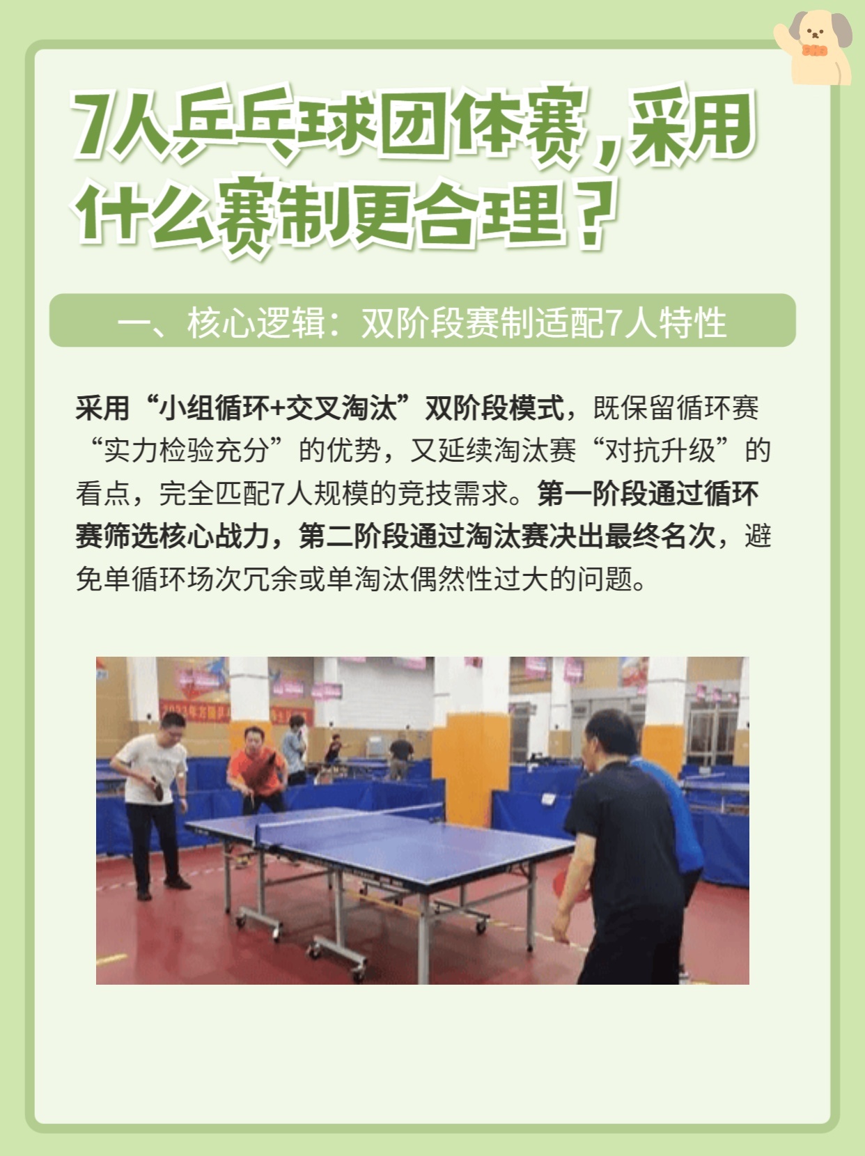 乒乓球团体赛的制胜之道，策略、配合与技巧的完美融合