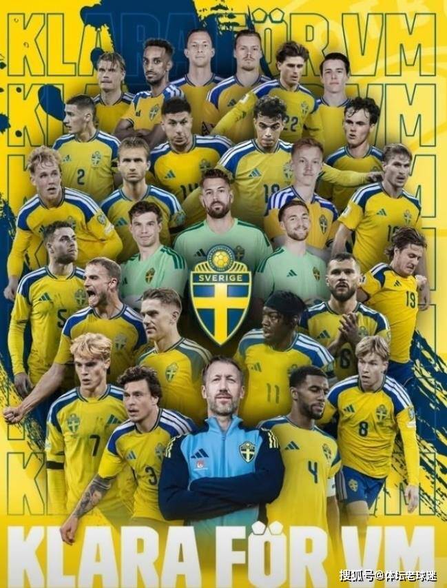 瑞典欧洲杯名单无伊布，国家队的新挑战与老将的缺席
