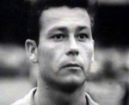 历届世界杯，从绿茵场到荣耀巅峰的全球盛宴