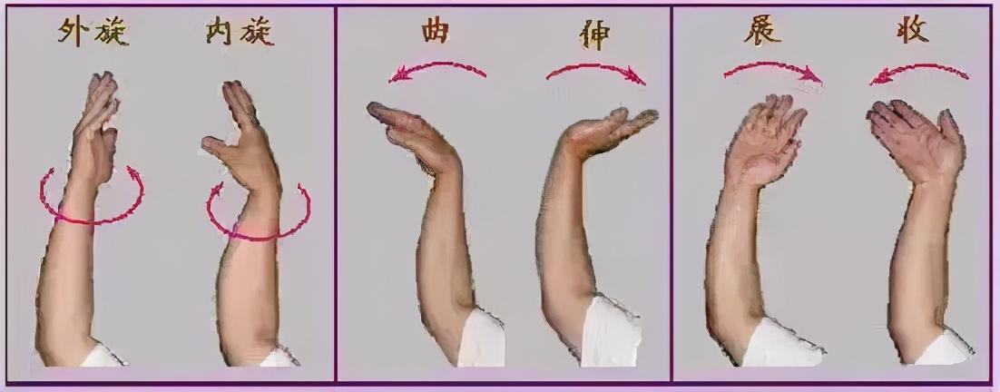 探寻最佳，什么牌子的羽毛球拍最好用？