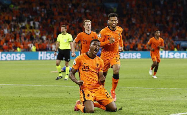 欧洲杯前瞻，奥地利国家队阵容名单深度解析