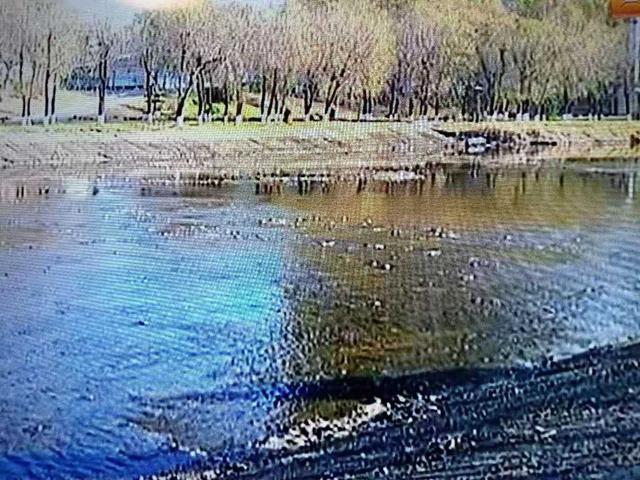 绿色荣耀，里约奥运会金牌的环保之旅