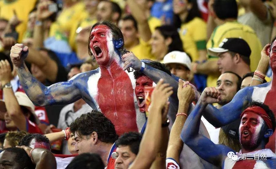 世界杯，全球足球盛宴的周期性狂欢