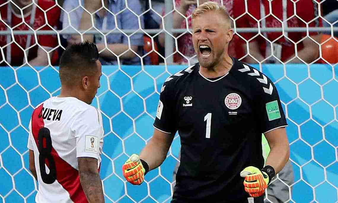 丹麦队世界杯队员名单，北欧海盗的坚韧与智慧