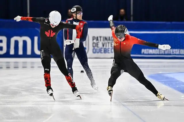 冬奥会冰壶冠军，荣耀背后的汗水与坚持