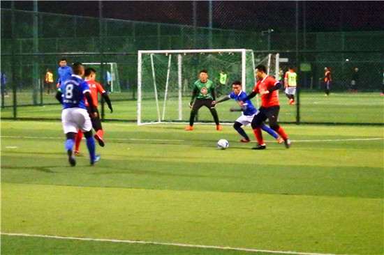 2008年世界杯足球赛，冠军之谜与足球盛宴的回溯