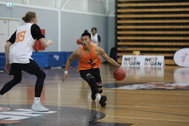 澳大利亚NBL篮球联赛，激情与竞技的碰撞