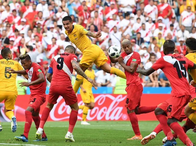 世界杯，已进16强名单的精彩瞬间与展望