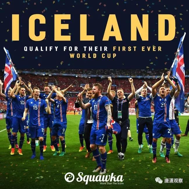 瑞士足球与世界杯冠军的辉煌之旅，未竟的梦想与持续的追求