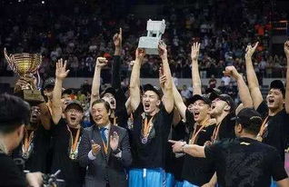 历届CBA总冠军一览，荣耀与传承的辉煌篇章