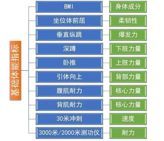 篮球巨人的力量展现，NBA体测数据中的卧推力量解析