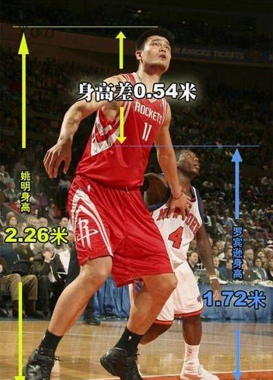 姚明在NBA历史中锋中的地位，一个综合评估