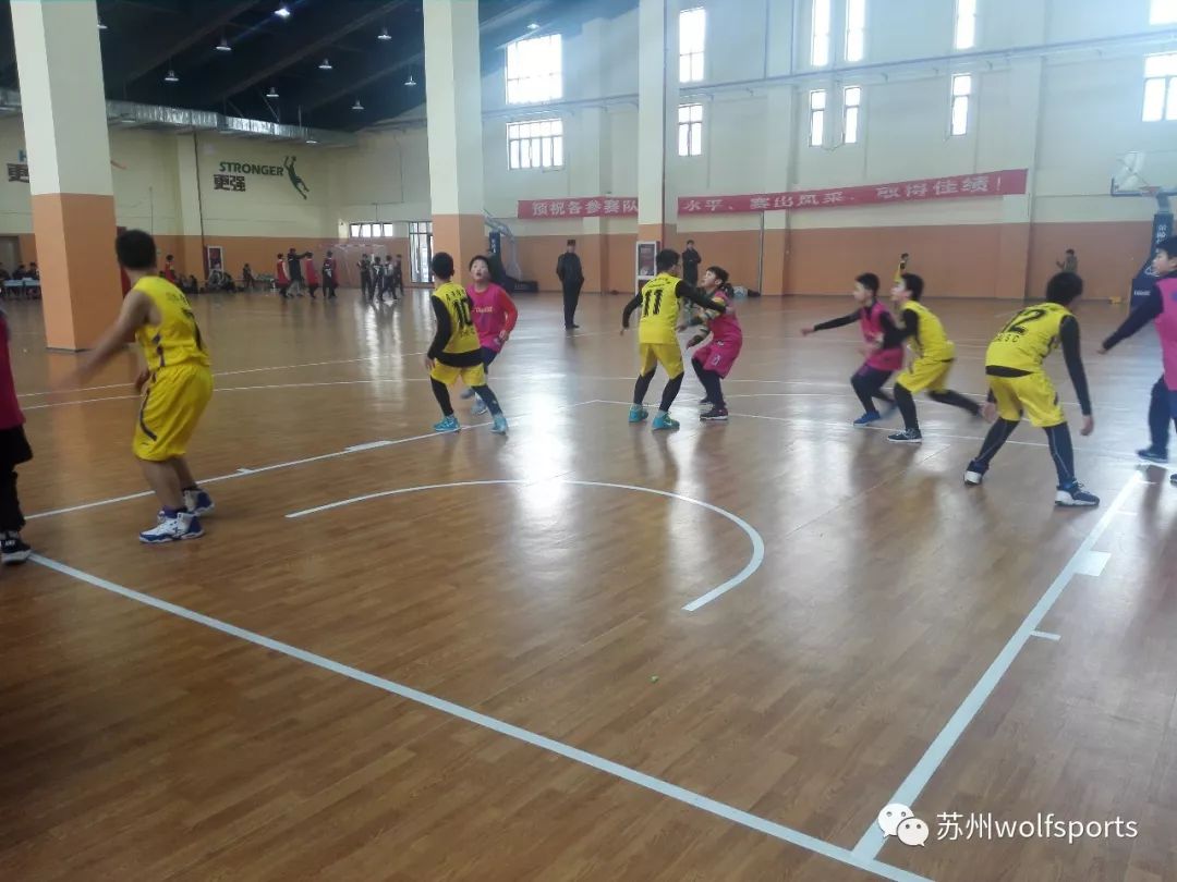 东莞篮球学校学费，培养未来篮球明星的投入与价值