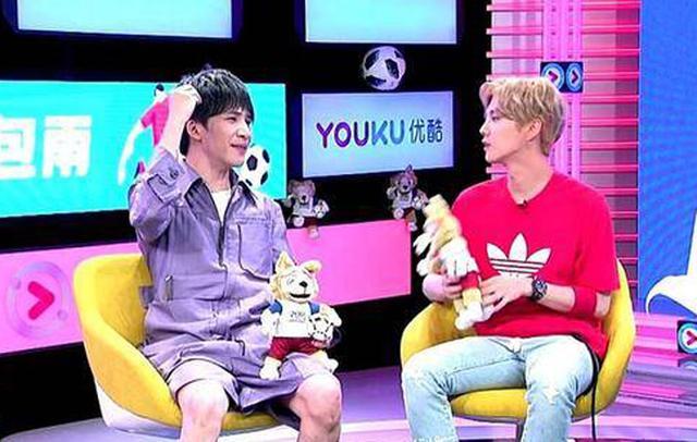 世界杯解说员，激情与专业的碰撞