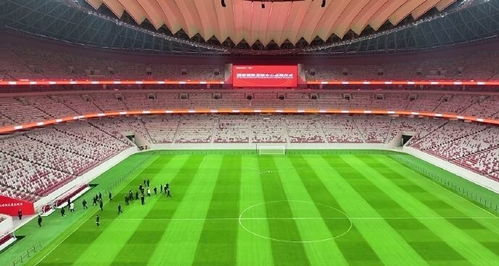 为什么中国没有免费的足球场，一场关于资源分配与公共服务的深度探讨