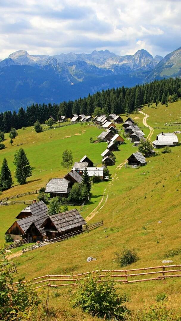 斯洛文尼亚篮球，从边缘到欧洲劲旅的崛起之路