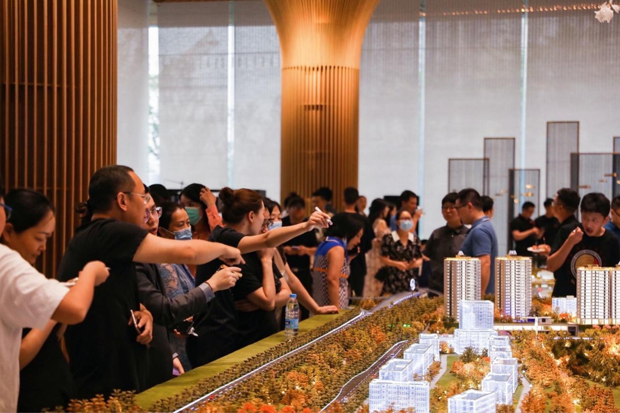 世界杯新纪元，48支球队共舞的盛宴