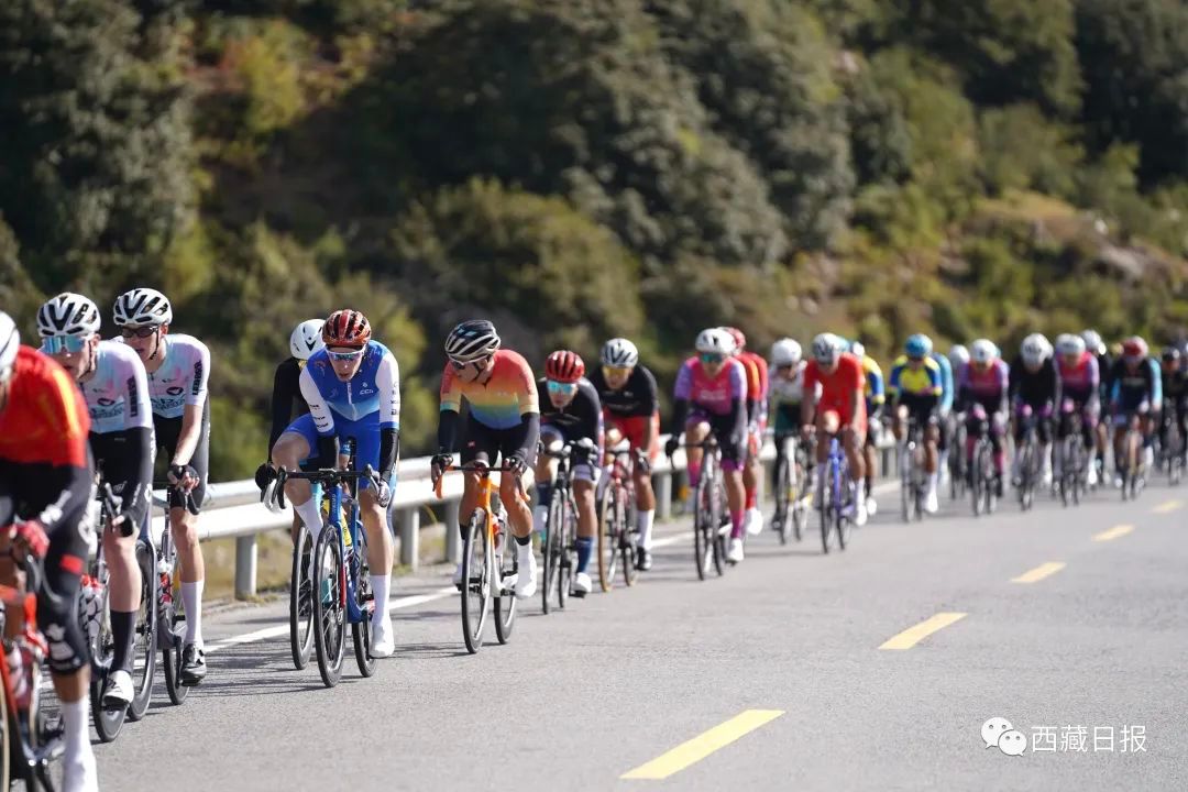 公路自行车比赛，距离与挑战的完美融合