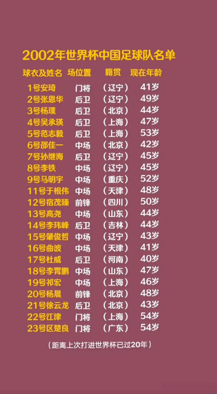 2002年世界杯十强赛，中国队名单与足球记忆