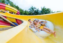 广州奥林匹克中心，免费开放与公共体育的魅力