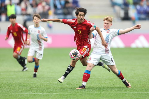 世界杯比赛结果预测最新，揭秘2024年法国足球盛宴的潜藏冠军与黑马