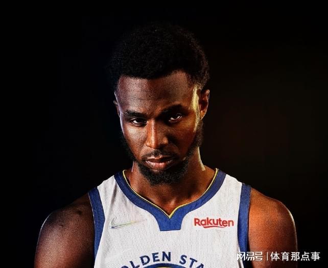 维金斯合同详解，条款、价值与影响