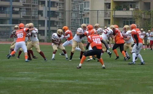 橄榄球决赛的荣耀与激情，揭秘终极对决的魅力