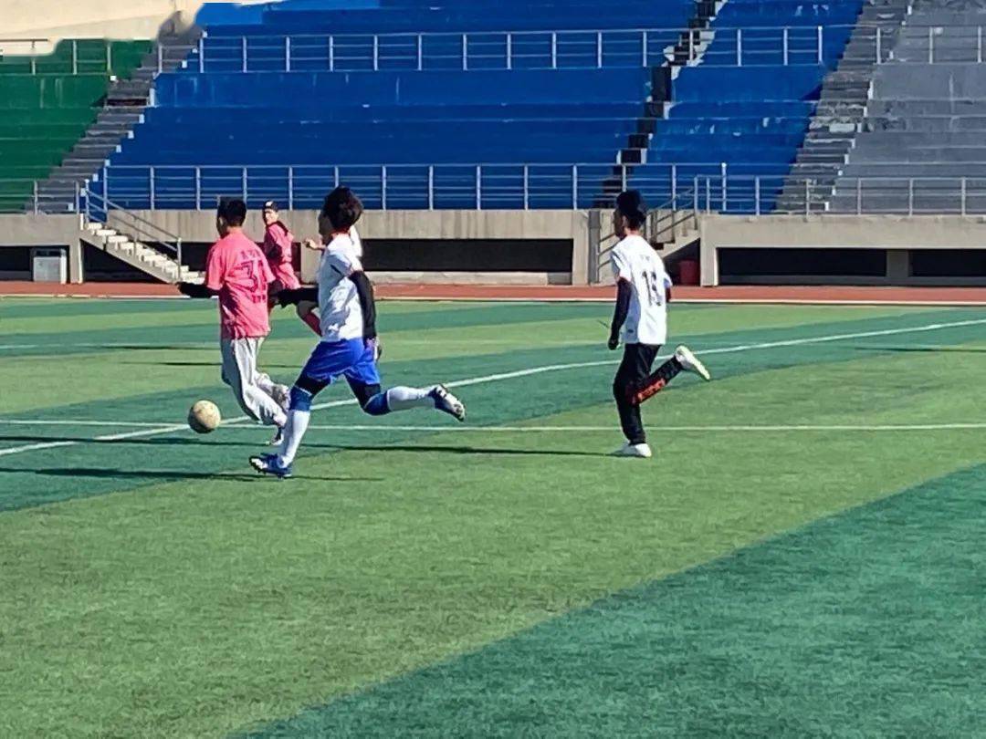 足球今日战报，最新赛事动态与精彩瞬间