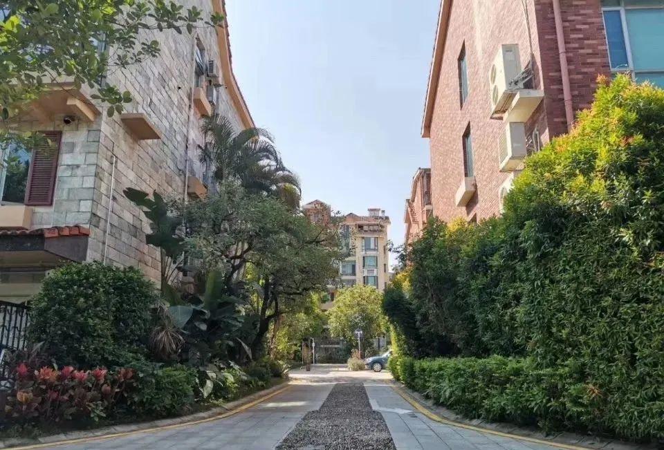 深圳篮球比赛时间表，2023年精彩赛事全攻略