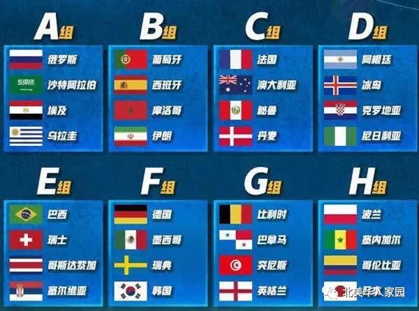 世界杯新篇章，世界排名第六的挑战与机遇