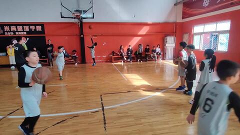 篮球场上的巨人幻象，探索3米高篮球明星的现实与幻想