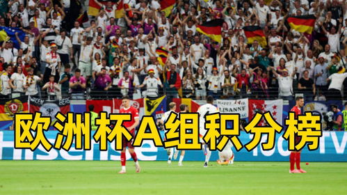 足球国家队世界排名最新2026，展望未来，挑战与机遇并存