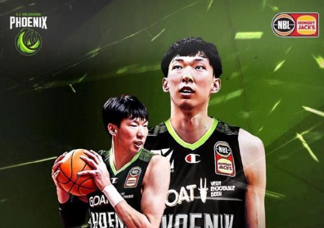 NBL数据统计，揭示篮球竞技的奥秘与趋势