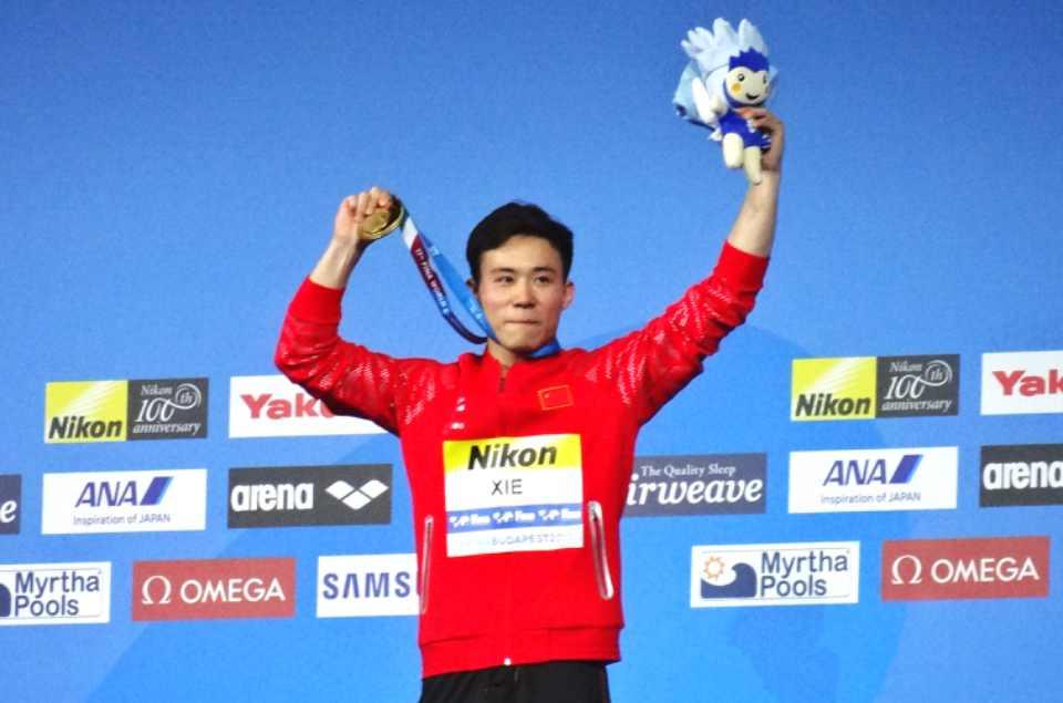 探秘中国跳水队，梦之队的辉煌与荣耀