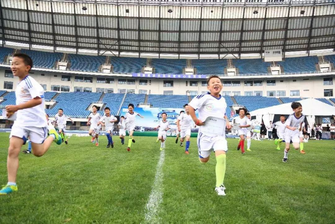 足球世界的新篇章，探索PLD在足球排行榜中的影响力