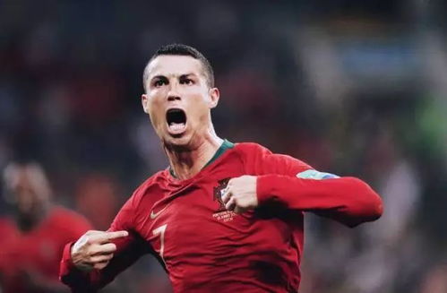 葡萄牙足球，荣耀之路与冠军之巅