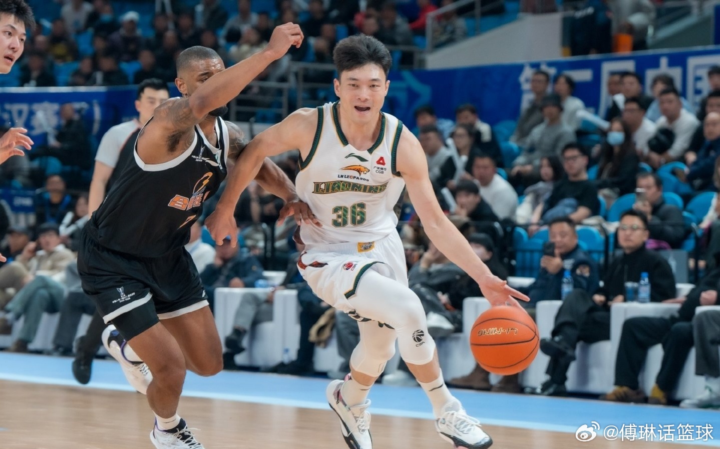 辽宁男篮，CBA赛场上的辉煌与荣耀