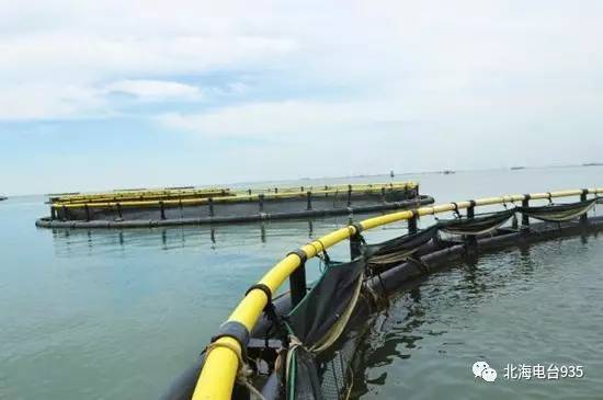 刘家峡水上交通事故深度调查，原因、影响与反思