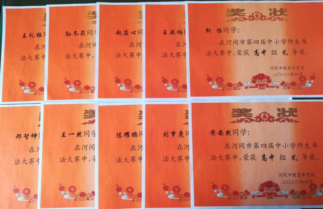 河间高中的多元化与特色发展，探索河间市高中教育格局的多元面貌