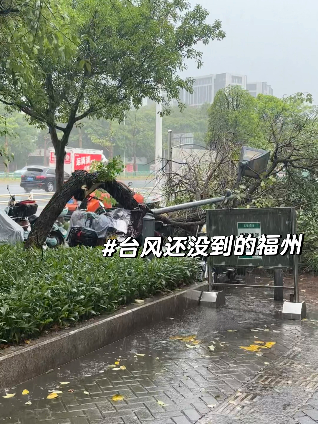 福州历年台风，风雨中的城市记忆
