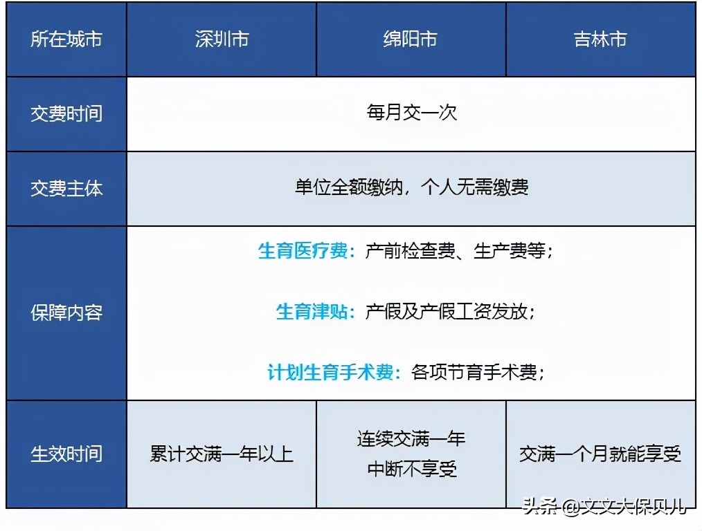 生育保险金，了解其支付途径与使用指南