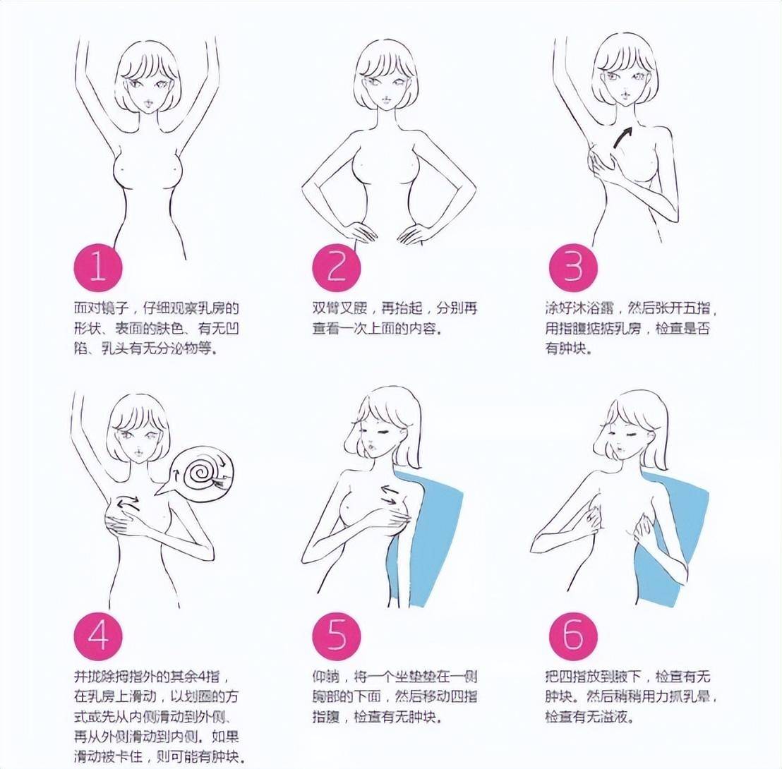 女性胸部发育的全面解析，健康与成长的奥秘