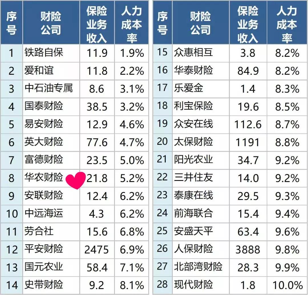 探索新康保险公司的创新之路，从传统到未来的跨越