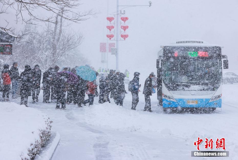 哈尔滨大雪预警，银装素裹下的城市守护与准备