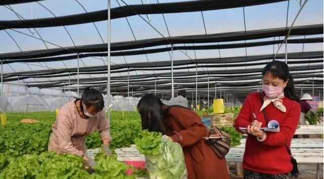 大学能取出的保险，从学生保险到未来保障的智慧选择